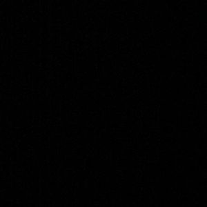 Meet your Posher, Raina